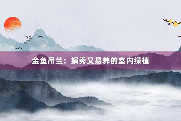 金鱼吊兰：娟秀又易养的室内绿植