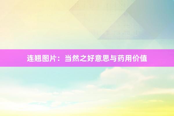 连翘图片：当然之好意思与药用价值